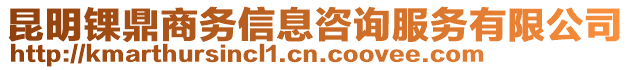 昆明錁鼎商務(wù)信息咨詢服務(wù)有限公司