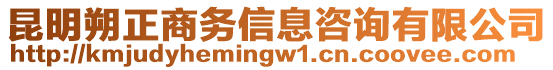 昆明朔正商務信息咨詢有限公司