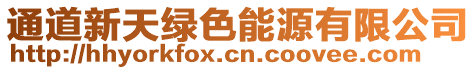 通道新天綠色能源有限公司