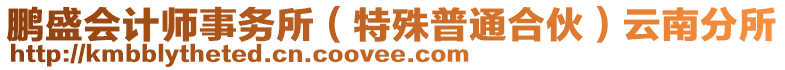 鵬盛會計師事務(wù)所（特殊普通合伙）云南分所