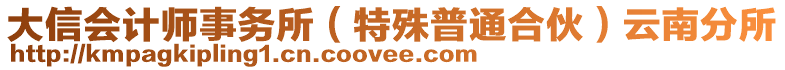 大信會(huì)計(jì)師事務(wù)所（特殊普通合伙）云南分所