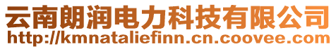 云南朗潤電力科技有限公司