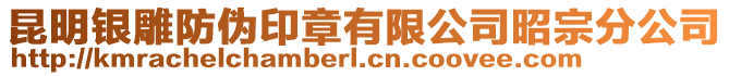 昆明銀雕防偽印章有限公司昭宗分公司