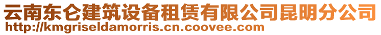 云南東侖建筑設備租賃有限公司昆明分公司