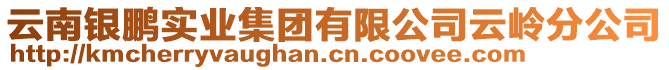 云南銀鵬實業(yè)集團有限公司云嶺分公司