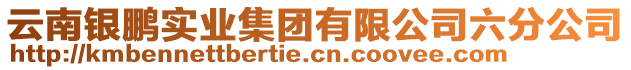 云南銀鵬實業(yè)集團有限公司六分公司