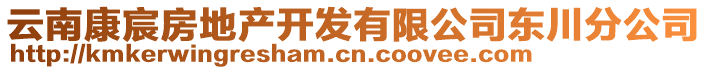 云南康宸房地產開發(fā)有限公司東川分公司