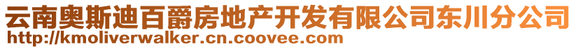 云南奧斯迪百爵房地產(chǎn)開發(fā)有限公司東川分公司