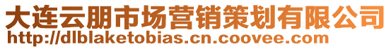 大連云朋市場營銷策劃有限公司