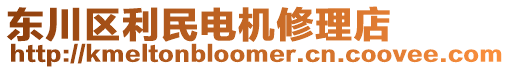 東川區(qū)利民電機修理店