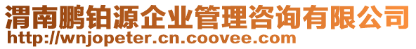 渭南鵬鉑源企業(yè)管理咨詢(xún)有限公司