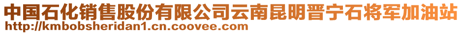 中國(guó)石化銷(xiāo)售股份有限公司云南昆明晉寧石將軍加油站