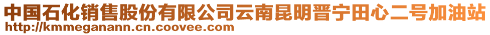 中國(guó)石化銷(xiāo)售股份有限公司云南昆明晉寧田心二號(hào)加油站