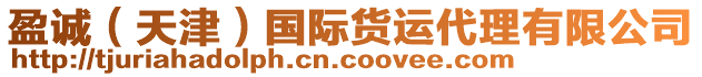 盈誠(chéng)（天津）國(guó)際貨運(yùn)代理有限公司