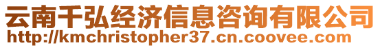 云南千弘經(jīng)濟(jì)信息咨詢有限公司