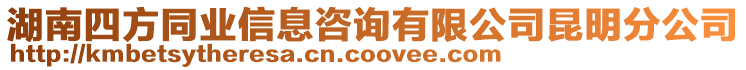 湖南四方同業(yè)信息咨詢有限公司昆明分公司