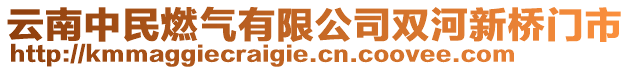 云南中民燃?xì)庥邢薰倦p河新橋門市