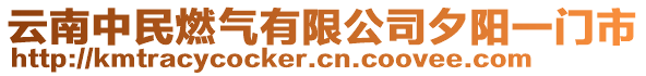 云南中民燃?xì)庥邢薰鞠﹃栆婚T市