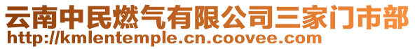 云南中民燃?xì)庥邢薰救议T市部