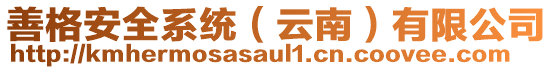 善格安全系統(tǒng)（云南）有限公司