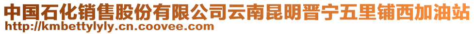 中國石化銷售股份有限公司云南昆明晉寧五里鋪西加油站