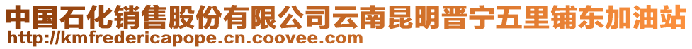 中國(guó)石化銷售股份有限公司云南昆明晉寧五里鋪東加油站