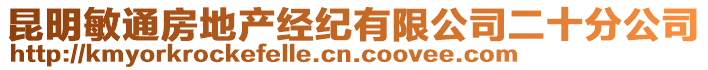 昆明敏通房地產(chǎn)經(jīng)紀(jì)有限公司二十分公司