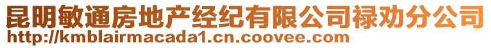 昆明敏通房地產(chǎn)經(jīng)紀(jì)有限公司祿勸分公司