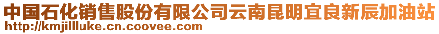 中國(guó)石化銷售股份有限公司云南昆明宜良新辰加油站
