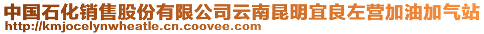 中國(guó)石化銷(xiāo)售股份有限公司云南昆明宜良左營(yíng)加油加氣站