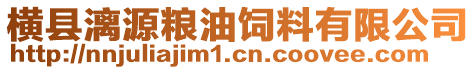 横县漓源粮油饲料有限公司