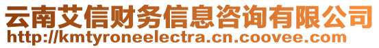 云南艾信财务信息咨询有限公司