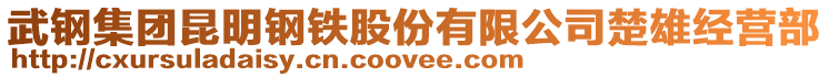 武鋼集團(tuán)昆明鋼鐵股份有限公司楚雄經(jīng)營(yíng)部