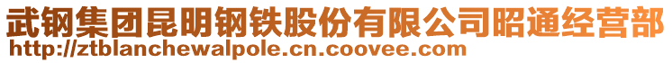 武鋼集團(tuán)昆明鋼鐵股份有限公司昭通經(jīng)營部