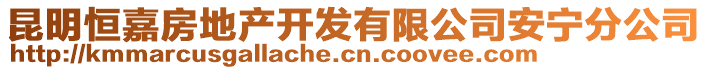 昆明恒嘉房地產(chǎn)開發(fā)有限公司安寧分公司