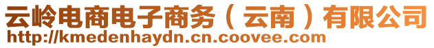 云嶺電商電子商務(wù)（云南）有限公司