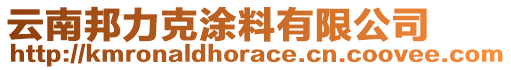 云南邦力克涂料有限公司