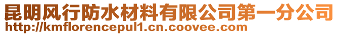 昆明風(fēng)行防水材料有限公司第一分公司