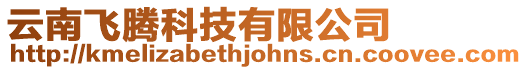 云南飛騰科技有限公司