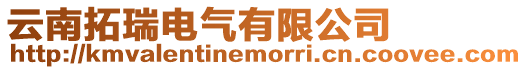 云南拓瑞電氣有限公司