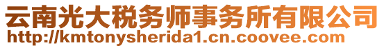 云南光大稅務(wù)師事務(wù)所有限公司