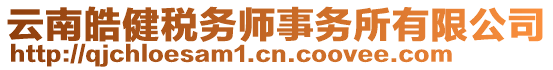 云南皓健稅務(wù)師事務(wù)所有限公司