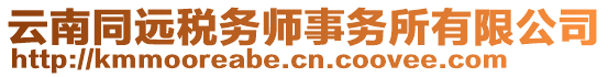 云南同遠稅務師事務所有限公司