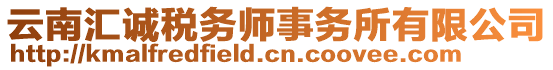 云南匯誠稅務(wù)師事務(wù)所有限公司