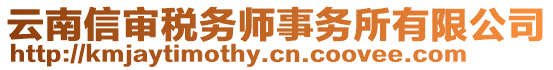 云南信審稅務師事務所有限公司