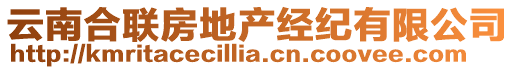 云南合聯(lián)房地產(chǎn)經(jīng)紀(jì)有限公司