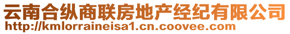 云南合縱商聯(lián)房地產(chǎn)經(jīng)紀(jì)有限公司