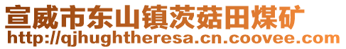 宣威市東山鎮(zhèn)茨菇田煤礦