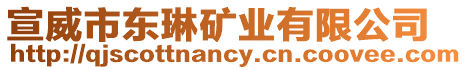 宣威市東琳礦業(yè)有限公司