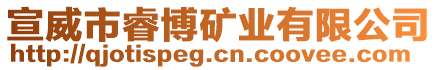 宣威市睿博礦業(yè)有限公司